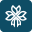 FlowerAura logo