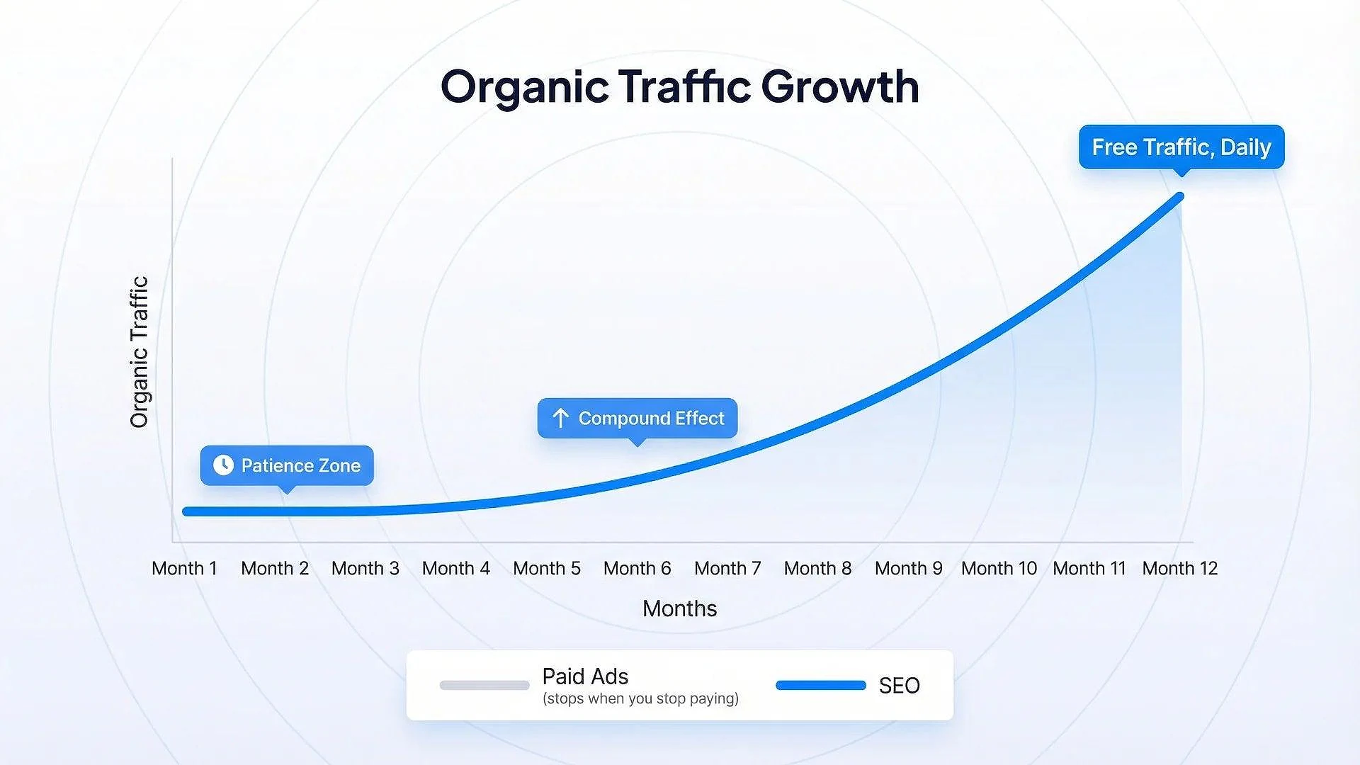 Organic traffic growth chart showing how SEO builds sustainable traffic over 12 months compared with paid ads